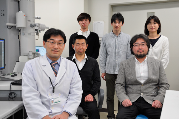 Bulletin of Japanese Society for Neurochemistry 60(1): 19-21 (2021)